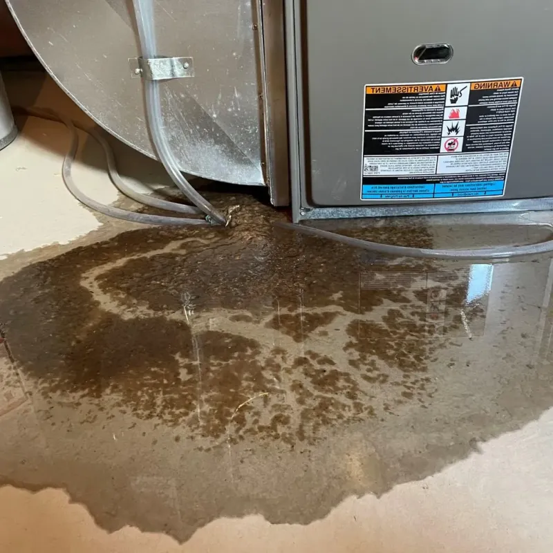 Pipe Burst and Leak Restoration in West Jefferson, NC